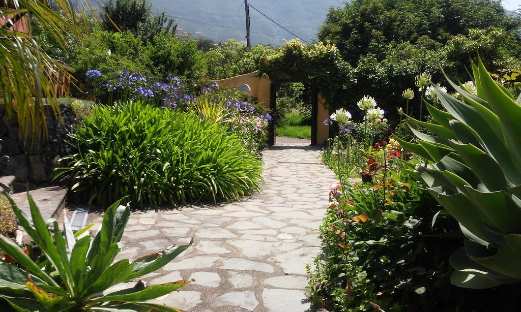 Rural Las Llanadas Villa Los Realejos Rum bild