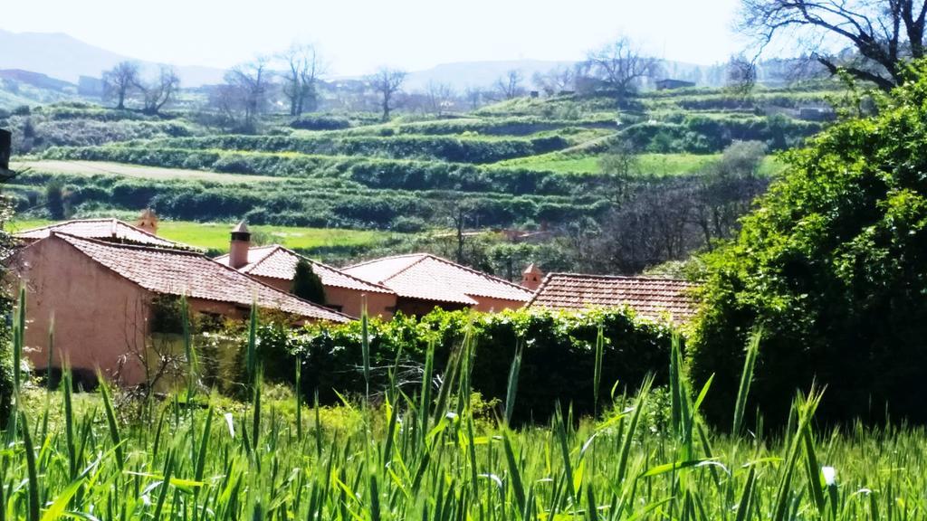 Rural Las Llanadas Villa Los Realejos Exteriör bild